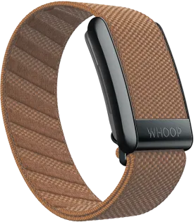 Cider SuperKnit Band