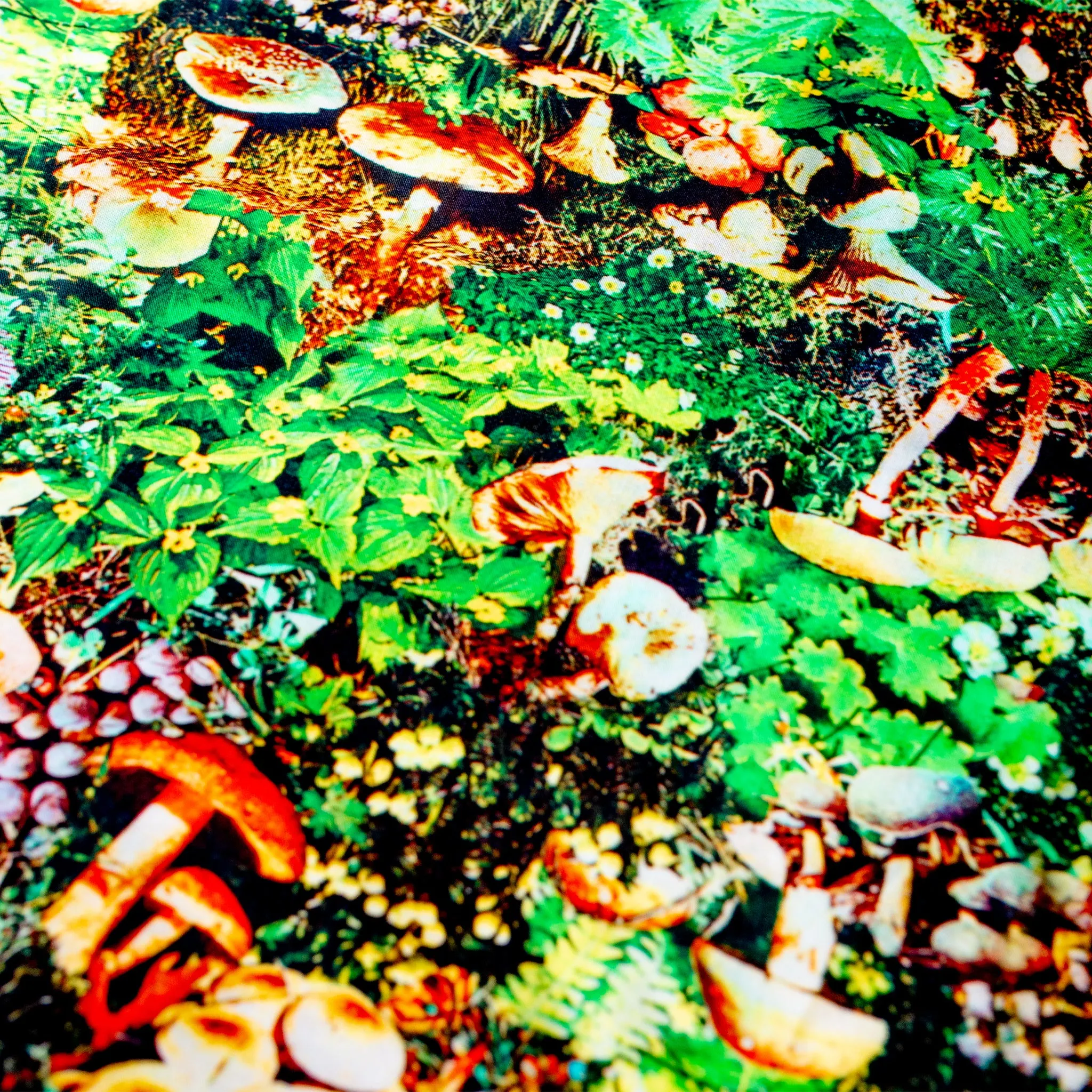 Gitman Vintage Shrooms on Viscose Camp Shirt