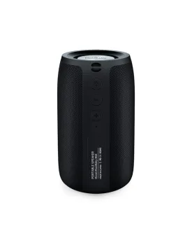 Wireless speaker dual pairing bluetooth 5.0